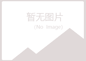 青岛四方元柏咨询有限公司